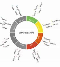 南京媒体网站优化反馈 的图像结果
