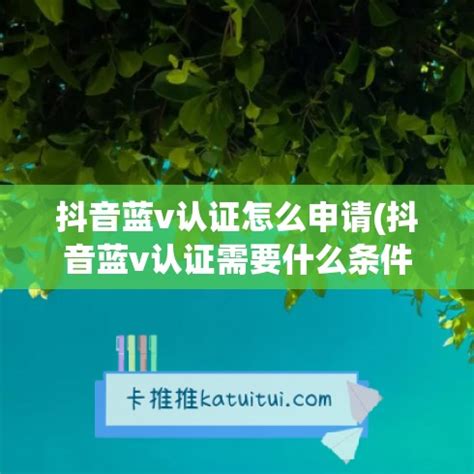 如何在抖音开通蓝V（抖音蓝v需要什么条件才能开通）-8848SEO