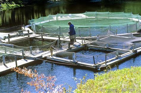 新型水产养殖设备“工厂化”养鱼，探出生态环保养殖新路径 - 知乎