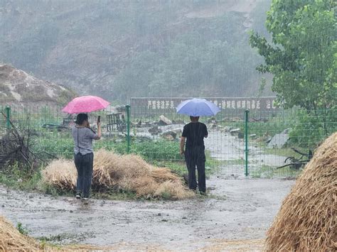暴雨下得急，我们跑得快——汛期快速预防地质灾害_工作动态_东海县自然资源和规划局