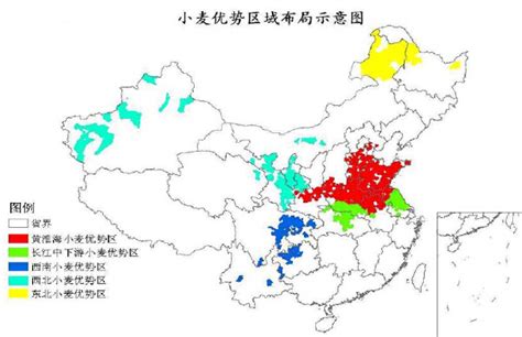 中国小麦种植区域分布情况 - 产业洞察 - 中为咨询|中国最为专业的行业市场调查研究咨询机构公司