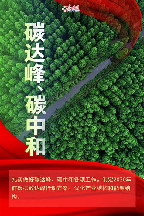 海报| 2021年政府工作报告，提到这些生态环保关键词_青橙云