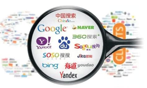 搜索引擎哪个好用，中国十大搜索引擎最新排名-参考网