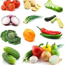 厂价批发 菠菜种子 家庭装阳台蔬菜种子原种菠菜种子 10克-阿里巴巴