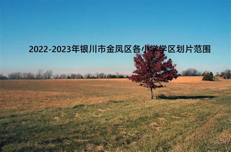 2022-2023年银川市金凤区各小学学区划片范围_小升初网