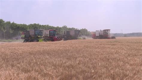 全国“三夏”麦收进度过半