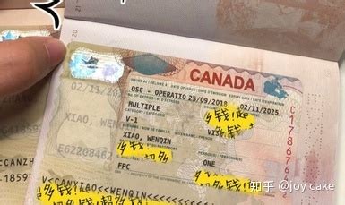 加拿大签证其实一点都不难！而且还可以网签，特别方便 ...