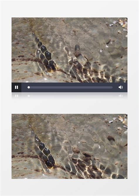 清澈的小溪水面微波实拍视频素材模板下载_实拍视频_图客巴巴