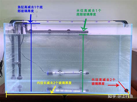 怎么算鱼缸装多少升水 实用的算法原来是这样_伊秀视频|yxlady.com