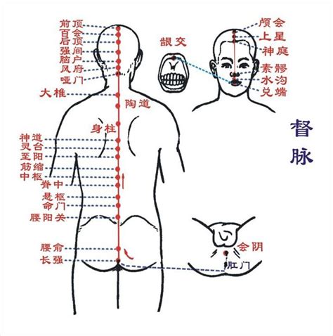 心经的准确位置图图片 心经的准确位置图图片