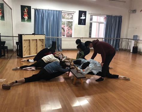 舞蹈专业 课程概说 - 新格林艺术高级中学校【全日制普通高中】