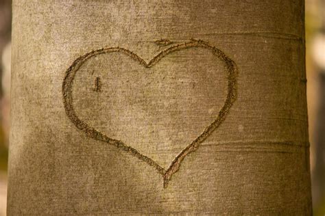 木头,爱情,艺术,心灵的cc0可商用高清大图-千叶网