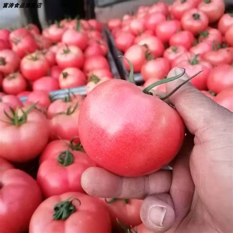 红番茄高清摄影大图-千库网