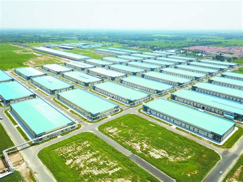 曹县庄寨镇做大做强木材加工业-中国木业网