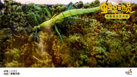「虫虫总动员」奇趣昆虫艺术展活动策划让你爱上大自然 - 会展活动策划CCASY.COM