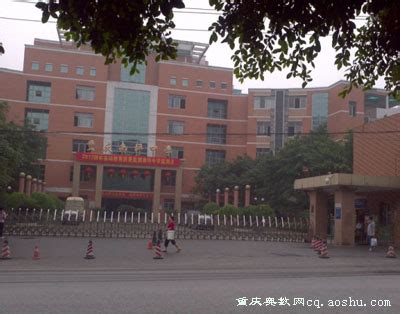 学校详情-重庆市南岸区人民政府网