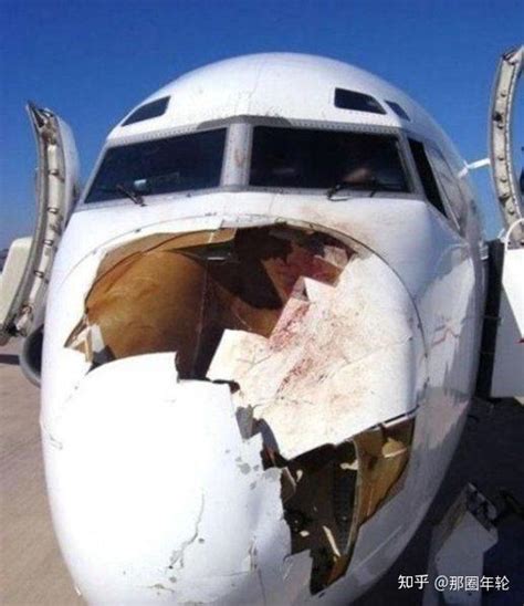 美国两架飞机空中相撞，机体遭大面积破坏_澎湃号·媒体_澎湃新闻-The Paper