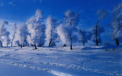 怎么描写冬天的美景 - 描写冬天美景的句子_文易搜