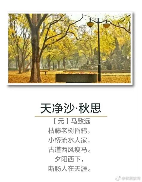 关于秋的诗句,手机壁纸,古风(第2页)_大山谷图库