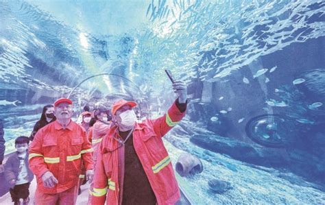 武汉海昌极地海洋公园智慧电子导览为你带来极致的视听体验 - 小泥人