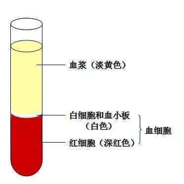化验指标解读之血生化指标解读