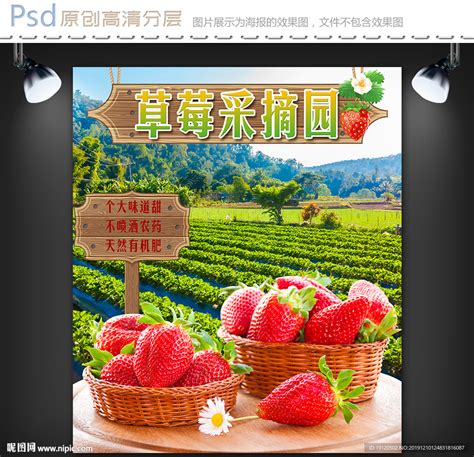 245克草莓罐头-遵化市亚太食品有限责任公司