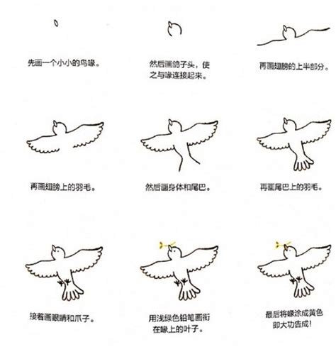 画鸽子一步一步,一步一步画熊猫(第5页)_大山谷图库
