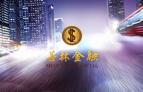 善林（上海）金融信息服务有限公司是否有法律诉讼-启信宝