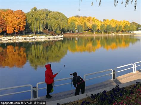 2020陶然亭公园-旅游攻略-门票-地址-问答-游记点评，北京旅游旅游景点推荐-去哪儿攻略