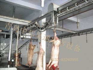 2020年家禽屠宰设备最新介绍-青岛华堂食品机械制造有限公司