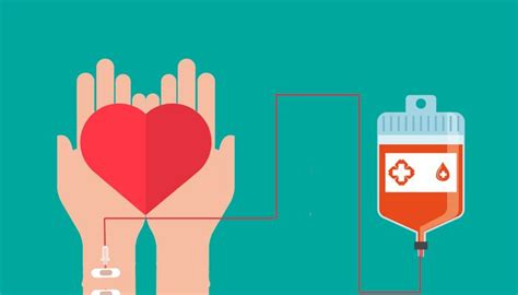 献血的条件和标准 献血的注意事项 - 健康养生