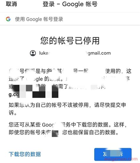 谷歌邮箱账号，怎样才能长久使用避免被停用？_石南学习网