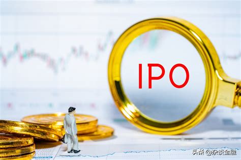 收藏！2021年IPO被否案例大汇总|IPO_新浪新闻