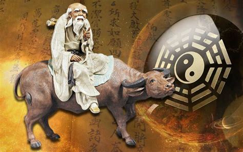 关于中国古代的玄学 中国古代的玄学的简介_知秀网