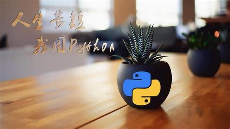 Python实战教程：用python下载bilibili短视频