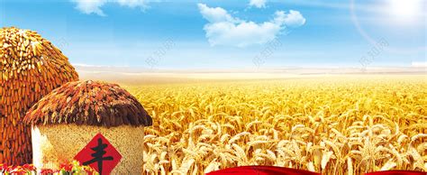 农产品素材-农产品模板-农产品图片免费下载-设图网