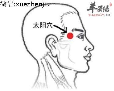 太阳穴位置图片