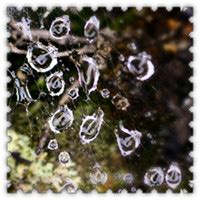 非主流雨滴头像