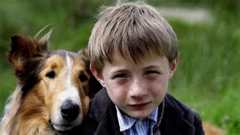 新灵犬莱西（2005年Charles Sturridge导演电影） - 搜狗百科