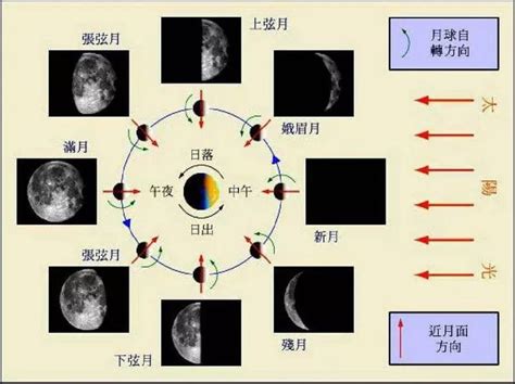 月球的月相变化设计图片素材免费下载 - 觅知网