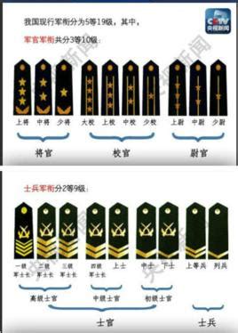 军队级别肩章图片(排长连长营长团长旅长排序) - 誉云网络