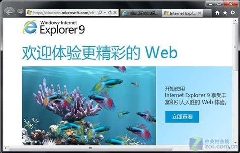 【ie9下载 官方版】Internet Explorer 9.0(64位) 中文版-ZOL软件下载