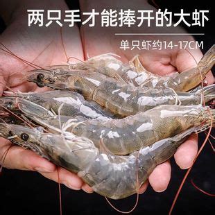 寰球渔市超海鲜冻虾大黑虎虾400g - 惠券直播 - 一起惠返利网_178hui.com