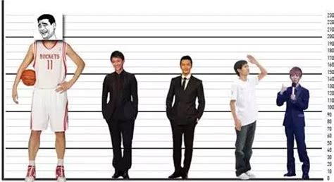 内娱公布10位男星的真实身高体重|肖战|体重|身高_新浪新闻