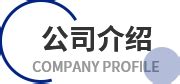上海徐汇资本投资有限公司介绍企业发展分析报告Word模板下载_编号qabkzazv_熊猫办公