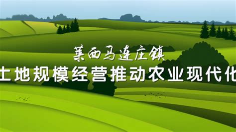莱西马连庄镇：土地规模经营推动农业现代化_凤凰网视频_凤凰网
