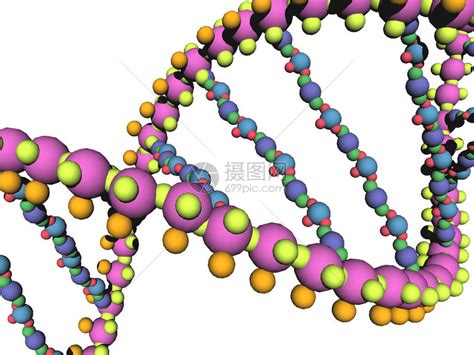 DNA基因材料的DNA链条被高清图片下载-正版图片504243259-摄图网