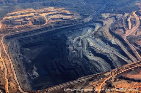 煤是怎样形成的，煤是怎么产生的
