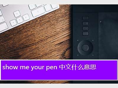 show me your pen,show me your pen 中文什么意思 - 考卷网