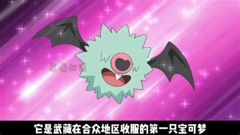 544.滚滚蝙蝠1飞行属性~气味探测图片